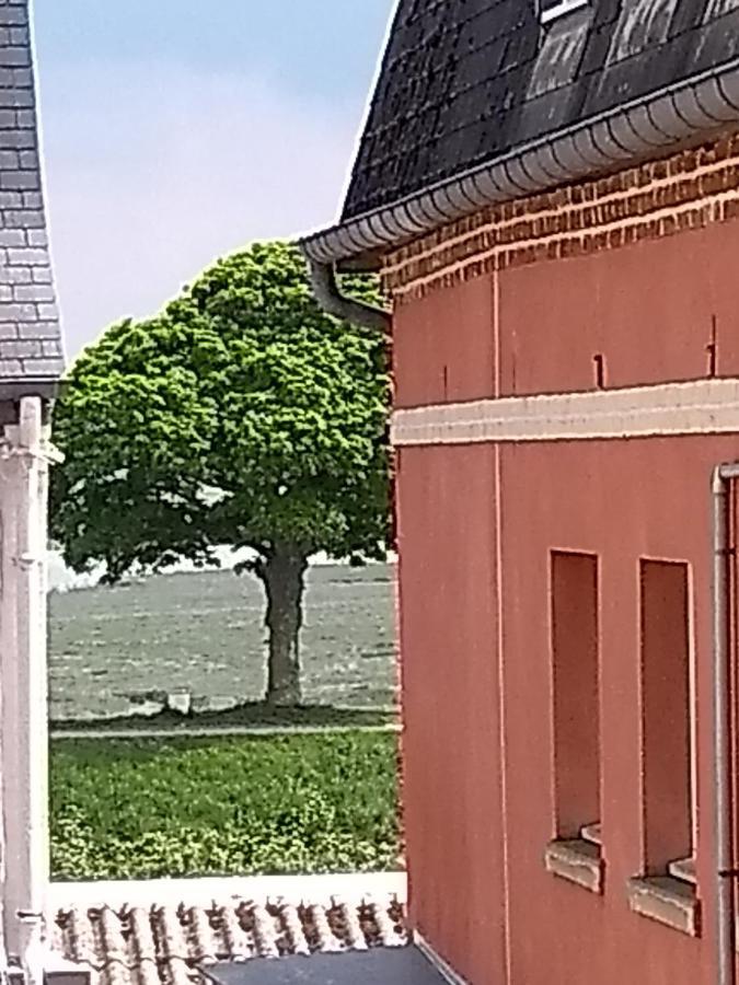 Au Petit Bonheur Daire Saint-Valéry-sur-Somme Dış mekan fotoğraf